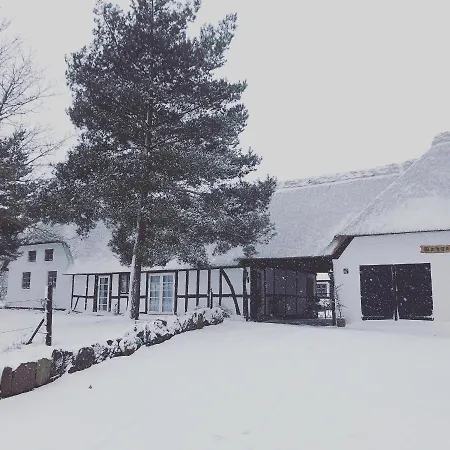 Nocleg ze śniadaniem Baekgaarden 3 - Old