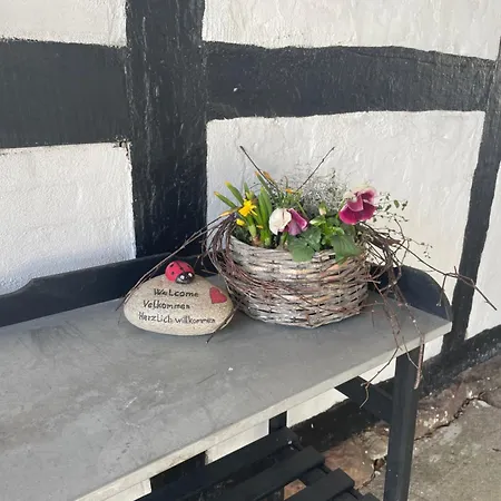 Bed & Breakfast Baekgaarden 3 - Old Odense